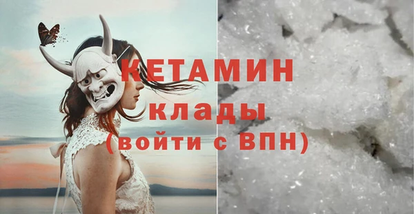 прущие грибы Белокуриха