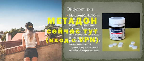 прущие грибы Белокуриха