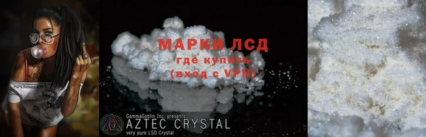 прущие грибы Белокуриха