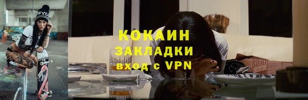 прущие грибы Белокуриха