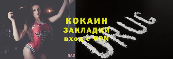прущие грибы Белокуриха