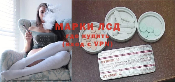 прущие грибы Белокуриха