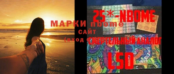 прущие грибы Белокуриха