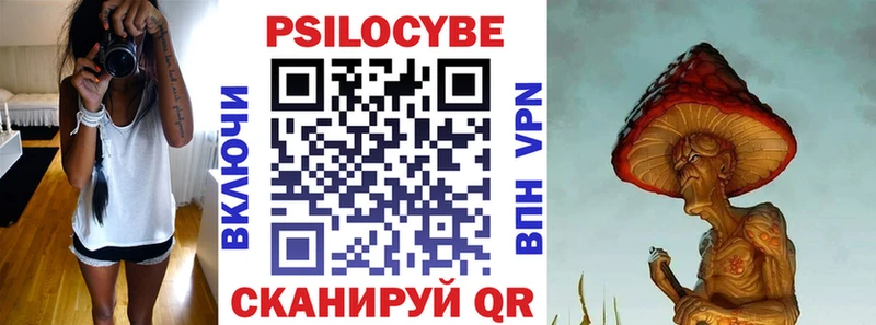 Псилоцибиновые грибы Psilocybe Приволжский